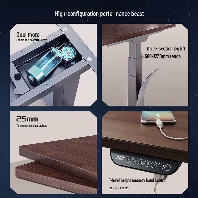 Loctek Black Warrior Max Electric Standing Desk