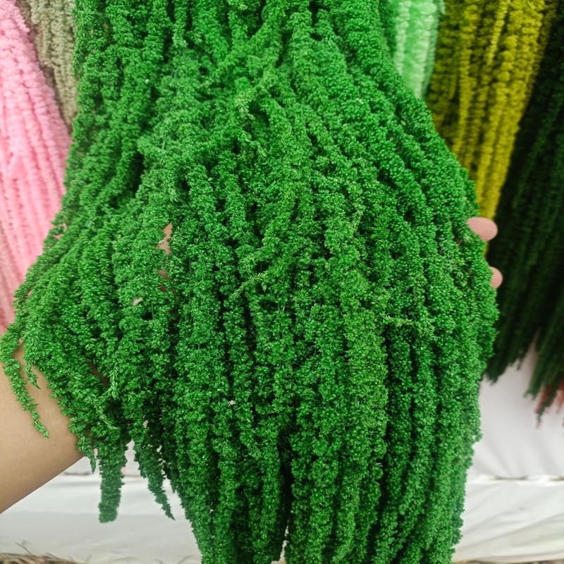 Hanging Rice Dried Preserved Flowers Wedding Decor 'Lover's Tears'