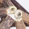 Catnip Wood Ball Toy Natural Silvervine Stick Cage Ball with Catnip Ball Kitten Teeth Cleaning Molar Toy for Indoor Cats