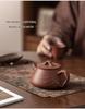 Handmade Yixing Zisha Shi Piao Teapot for Gongfu Tea, Single-Person Use, High-End Artist Design