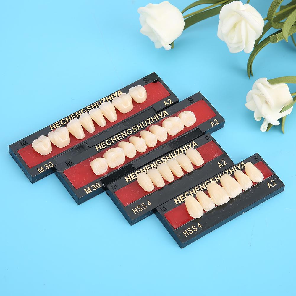 Dental Material Synthetic Resin False Teeth Filling Denture Tooth Care Tool