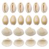 Natural Shell Conch Scallop Perforated Tooth Shell Jewelry & DIY Accessory Materials