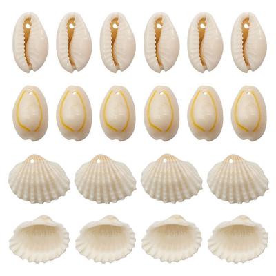 20 Natural Shell Conches with Holes for DIY Bracelet Charms