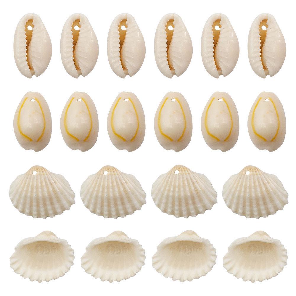 Natural Shell Conch Scallop Perforated Tooth Shell Jewelry & DIY Accessory Materials