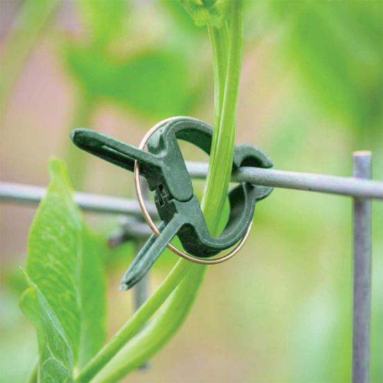 100Pcs Plant Support Clips Easy To Operate Tomato Clips Plastic Vine Fixing Clips for Garden Trellis Plant Protection Grafting