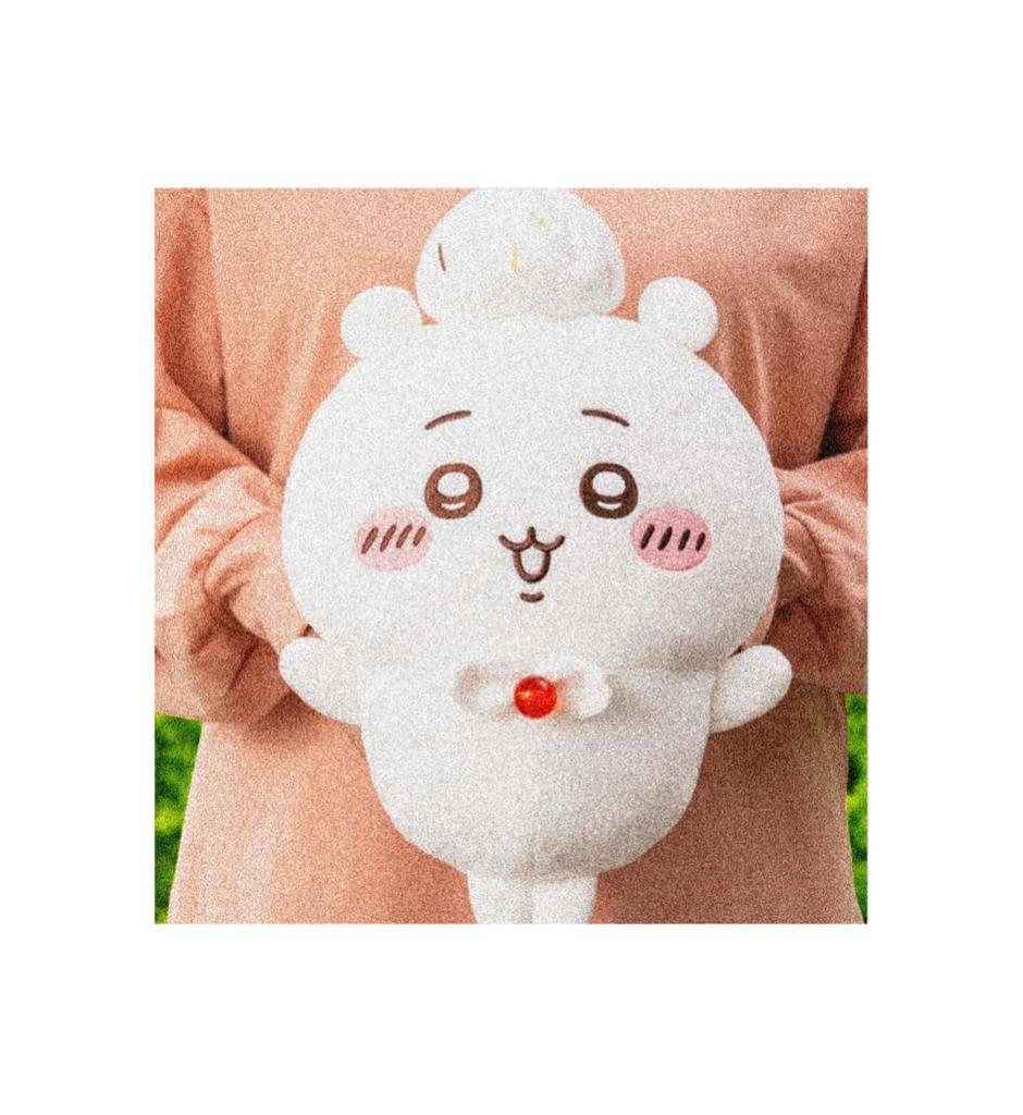 Birthday Big Plush Toy, Approx. 30cm, Official Cute Merchandise (Chii)