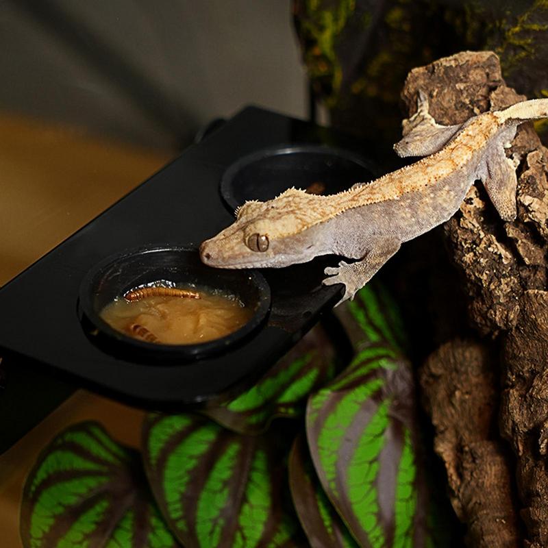 Food Dish For Reptiles Suction Cup Gecko Water Dish Lightweight Portable Reptile Feeder Bowl For Bearded Dragons Snake Frog