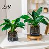 Modern Home Office Decor Self Watering Planter for Indoor Plants Transparent Hydroponic Planter Decorative Plant Growing Container Flowerpot