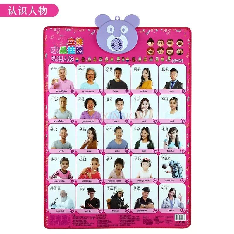 Early Childhood Education For Children Learning Pinyin Understanding Chinese Characters Crystal Sound Wall Charts Toys