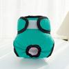 Pet Kitten & Female Dog Anti-Harassment Menstrual Diaper Clothing