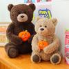 Weicher Plüschbär Spielzeug Kinder Erwachsene - Kuscheltier Kissen Heimdeko Geschenk Geburtstag Freunde