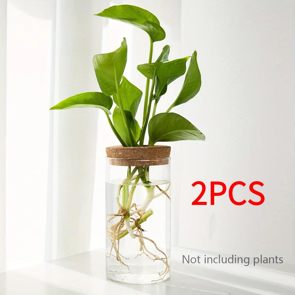 1pc, Hydroponics Plants Desktop Glass Planter Vase For Home Decoration, Plant Propagation Station Bud Vase, Desktop Hydroponics