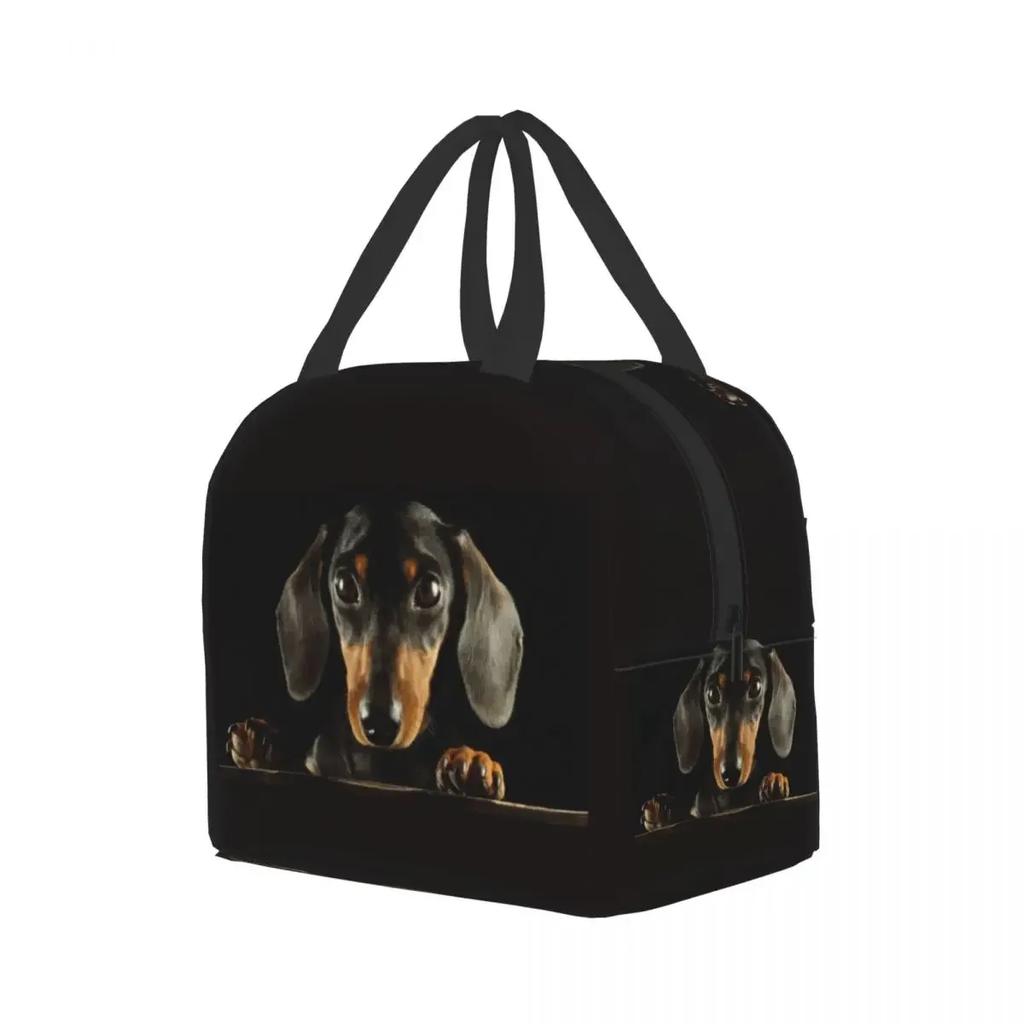 Dachshund Insulated Lunch Tote Bag Portable Thermal Cooler Food Bento Box for Work School Travel Sausage Wiener Dog Lunch Bags