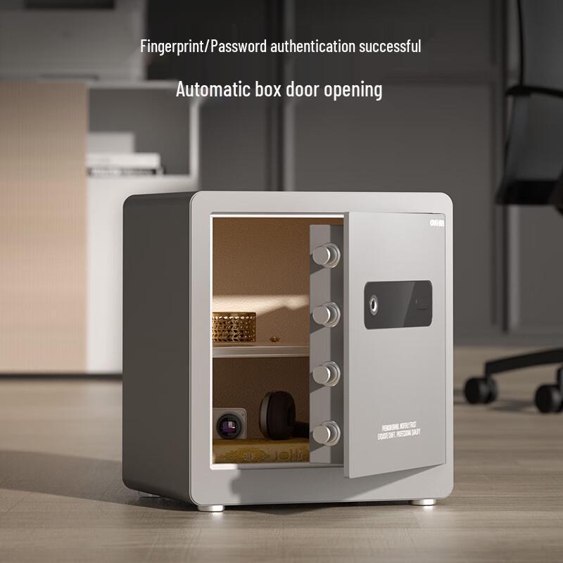 Deli AE100 Fingerprint & Password Safe Box H300