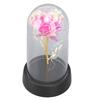 Colorful Light Up Rose in Glass Dome Birthday Gifts Ambient Lighting Light Up Artificial Flower Rose for Anniversary