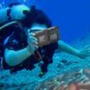 Red Pepper Black Technology Waterproof Dive Case (15m) for Samsung, Apple 14/13, Huawei, Xiaomi