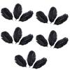 15 Pcs Natural Ostrich Feathers Colored Soft Feather for Clothes Wedding Decor
