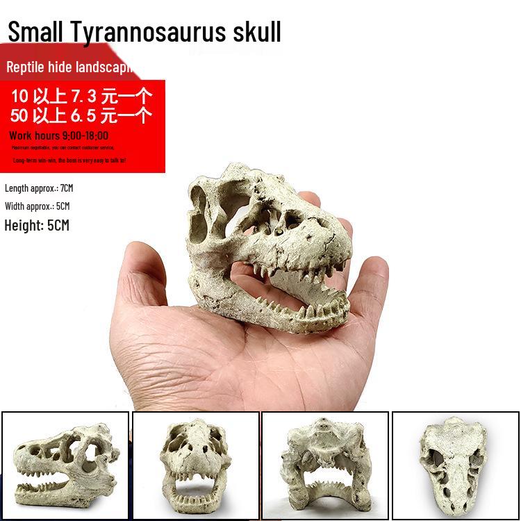 Akril Hüllőtenyésztő Doboz Dekoratív Koponyával