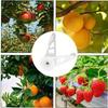 20/50 Pcs Plant Bender 360 Degree Adjustable Supports Plant Fixed Clip for Fruit Trees and Flowers Gardening Supplies Tools
