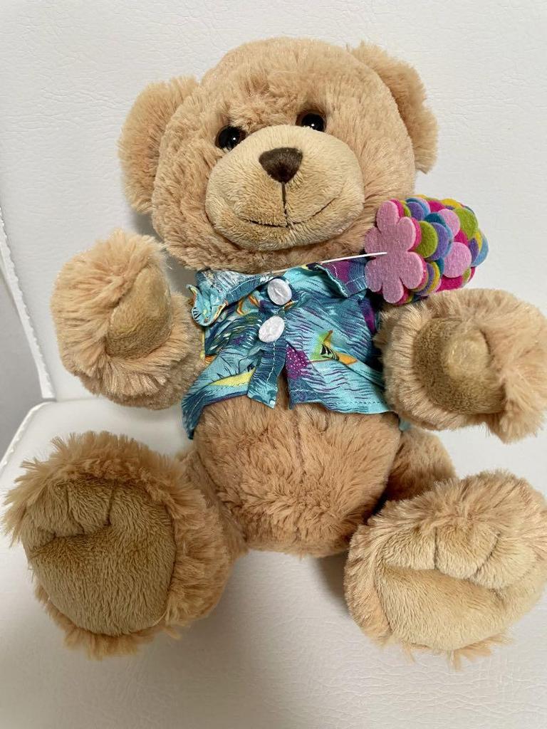 [USED] Stuffed Teddy Bear