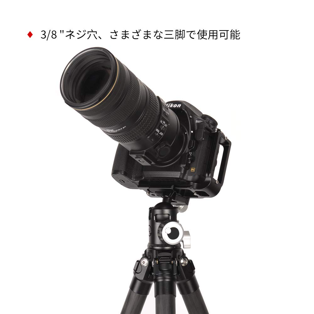 SWFOTO 36mm Ball DSLR Camera Panoramic Ball Head Ideal for Lightweight Travel 15KG Load Capacity EB-36 Head, Arca-Swiss Compatible, 360°, Photography,
