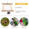 FRCOLOR Parrot Mirror Toy Parakeet Woody Toy Chicken Toys for Chicks Bird Cage Mirror Parrot Chewing Bird Mirror with Rope Bird Accessory Hanging