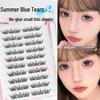 Blue Tears Glue-Free Summer Eyelashes - Natural, Segmented, Beginner-Friendly, Large Capacity