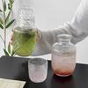Bottiglia d'Acqua in Vetro Estetica con Tazza Brocca d'Acqua Multiuso Caraffa Fredda Succo