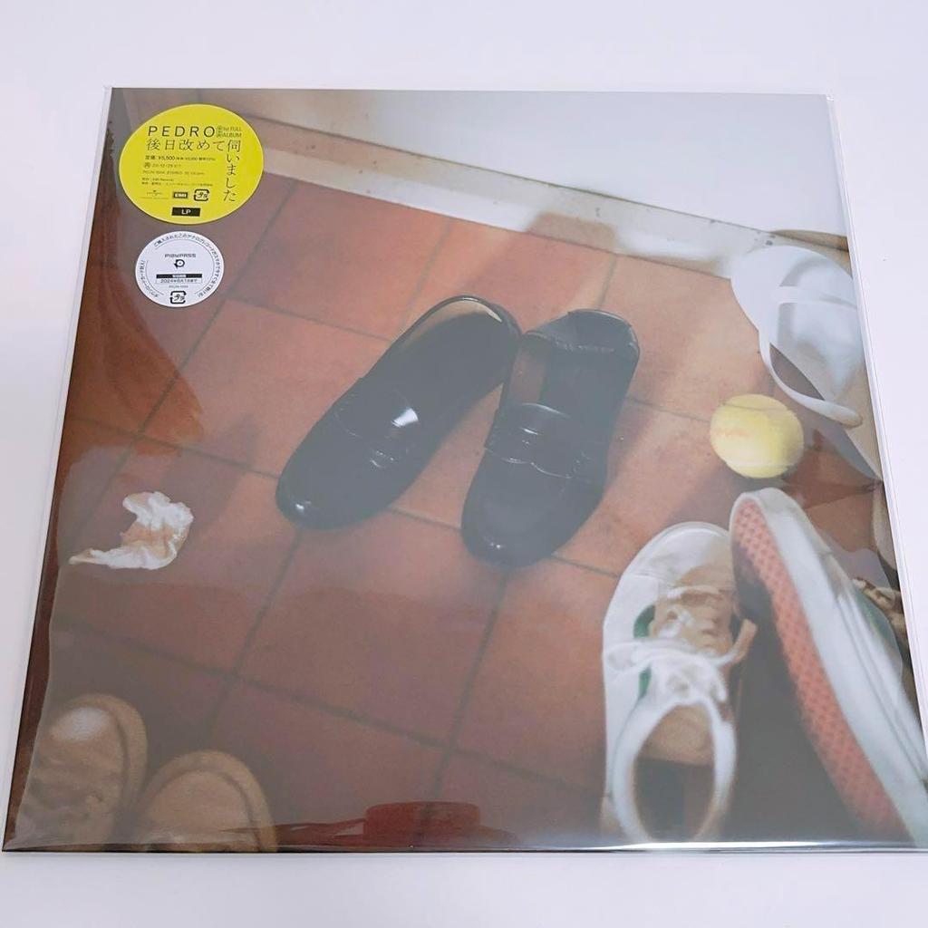 [USED] Comes with a Polaroid! PEDRO "I visited again later" vinyl record