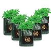 Planting Bag PE Environmentally Friendly Breathable Plant Grow Pouch Garden Planting Bag Gardening Tool