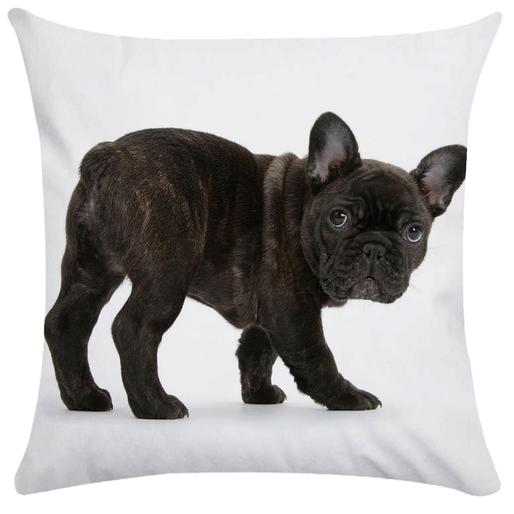 French Bulldog Dog Cushion Covers Dog Painting Pillowcase Decorative Pillow Covers Bedroom Sofa Home Decoration 45X45Cm Car Seat