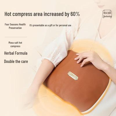 Aixiu Tang USB Heated Moxibustion Salt Therapy Pack CN Plug (adapter Included)