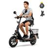 Electric Scooter with Seat TWOFISH M5 PRO-E Battery 48V13AH Range 30KM Tires 12*2.75" Motor 500W Speed 44KM/H Black