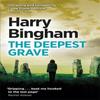 The Deepest Grave by Harry Bingham Paperback Book 9781409152804