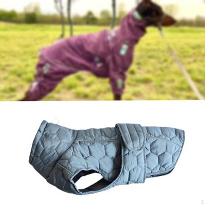 Cozy Pet Jacket for Winter Adventures