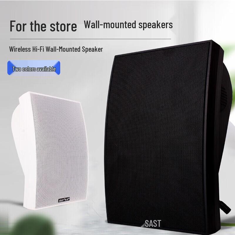 SAST Wireless Bluetooth Public Address & Background Music System CN Plug (adapter Included)