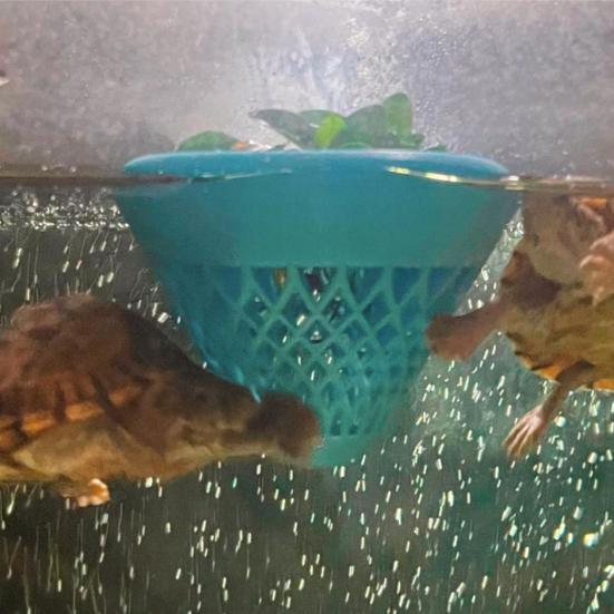 Aquarium Floating Plant Pot Floating Aquatic Planter Fish Tank Plant Holder for Aquatic Plants Aquarium Accessory