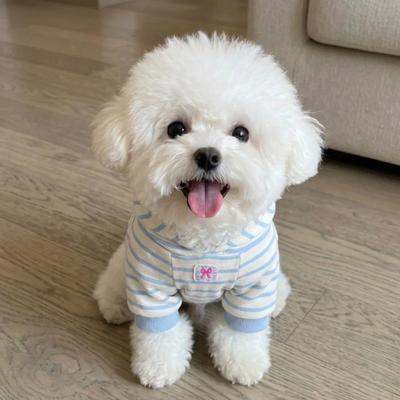 Kışlık Evcil Hayvan Kapüşonlusu, Karikatür Çizgili Fil Köpek Giysileri, Küçük ve Orta Boy Köpekler ve Maltese İçin Sıcak Sweatshirt