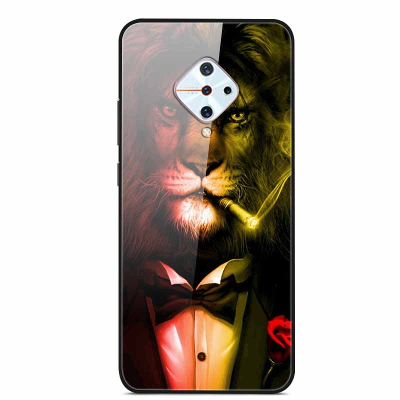 Tempered Glass Case For Vivo V17 Case Russia Glass Back Cover Soft Bumper For Vivo V17 Phone Cases V 17 Funda Y9s S1 Pro Coque