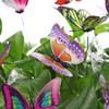 Bonsai Ornaments Garden Decoration Artificial Butterfly with Rods Fake Butterflies Simulation Color