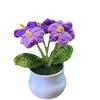 Knitting Crochet Flowers Potted Plants Fake Forget Me Not Flowers for Friends Family and Lover Artificial Handmade Flowers for