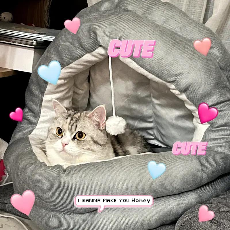 Legowisko dla kota Mata dla zwierząt Ciepłe Miękkie Pluszowe Legowisko dla zwierząt z Pokrowcem Okrągłe Gniazdo do spania dla kota psa Jaskinia dla małych psów kociąt