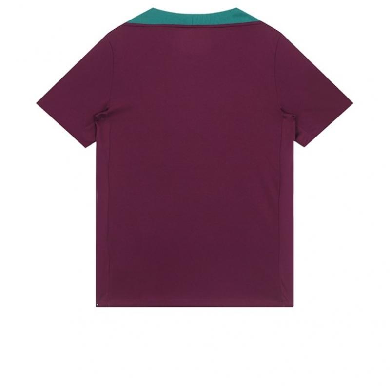 Nike Paris Saint Germain Psg Dri Fit Strike Short Sleeve Top