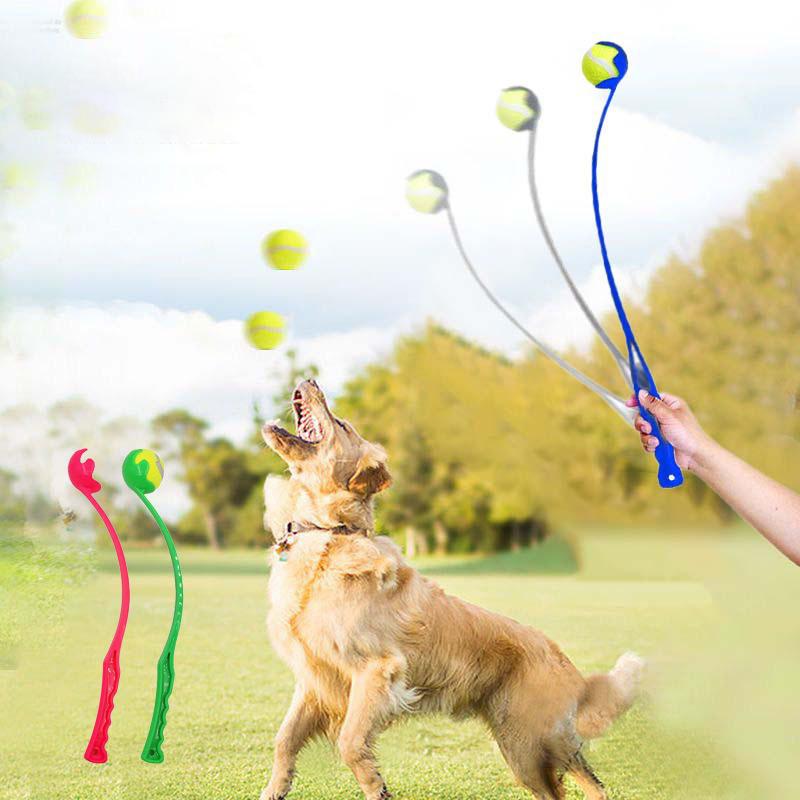 Haustier Tennisballwerfer Stock - Interaktiver Outdoor Hund Lustiges Training Interaktiver Ballaufhebungsspielzeug Trainingsspielzeug Haustierbedarf