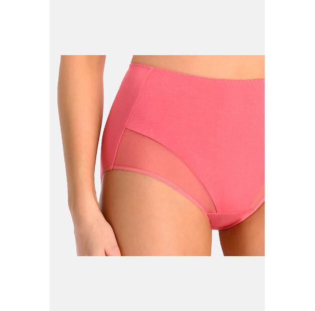 Teyli Filly Underwear