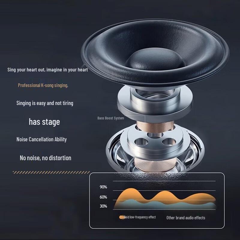 Portable KTV Bluetooth Speaker