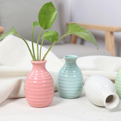 Desktop Plant Hydroponic Vase Simple Style Tabletop Ceramic Vase for Living Room Bedroom Ornaments Garden Small Flowerpot
