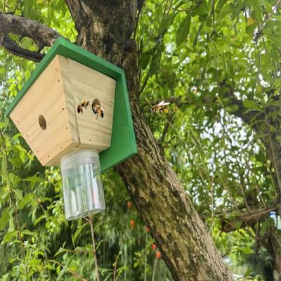 Yousheng Wood House Carpenter Bee Trap with Clear Bottle Outside Natural Wood Boring Bee Trap Weather-proof Outdoor Hanging Bee Catcher