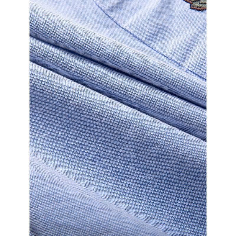 Men's Shirts 2025 Spring and Autumn New Basic Versatile Tops All-Cotton Oxford Fabric Embroidered Casual Long-Sleeve Men's Shirts