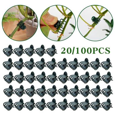 20/100pcs Garden Plant Clips Butterfly Orchid Clip Orchid Clamp Climbing Stem Garden Grafting Tools Planting Supplies